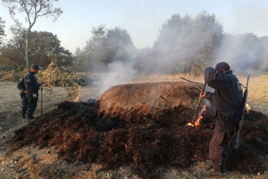 SSC aseguró material forestal en el parque nacional La Malinche