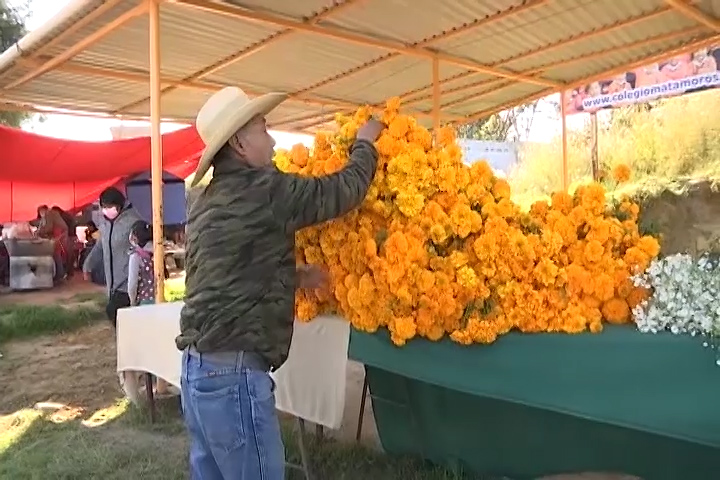 Inicia venta de flor de cempasúchil en Tepeyanco