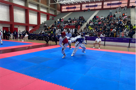 Finalizan con éxito regionales de taekwondo y ajedrez en Tlaxcala