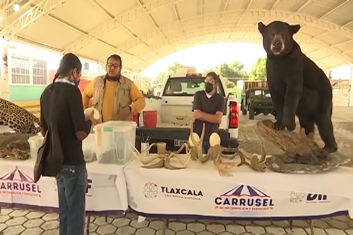 SEDIF llevó el Carrusel de Información y Servicios a Yauhquemehcan