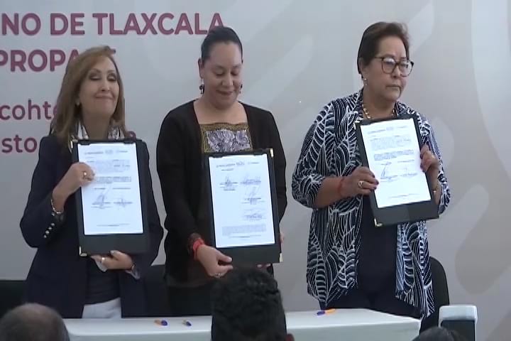 Semarnat y Gobierno de Tlaxcala acuerdan acciones para combatir la tala clandestina