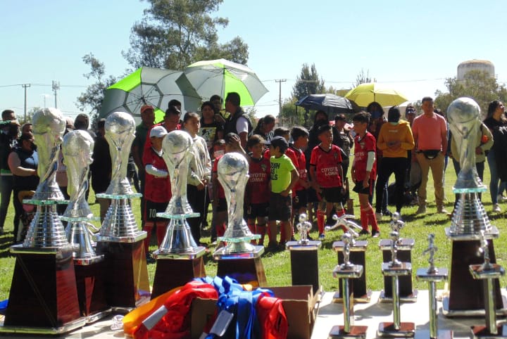 La liga de futbol infantil 