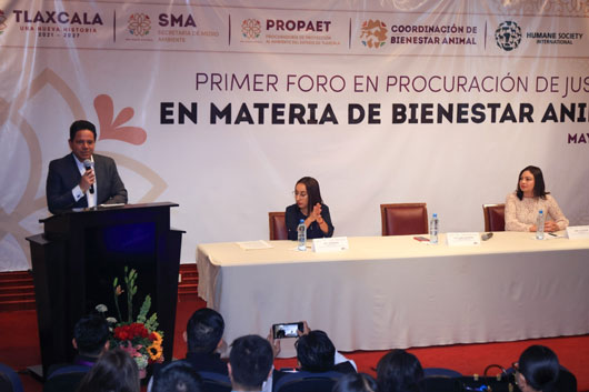 Inician Primer Foro de Procuración de Justicia en materia de Bienestar Animal