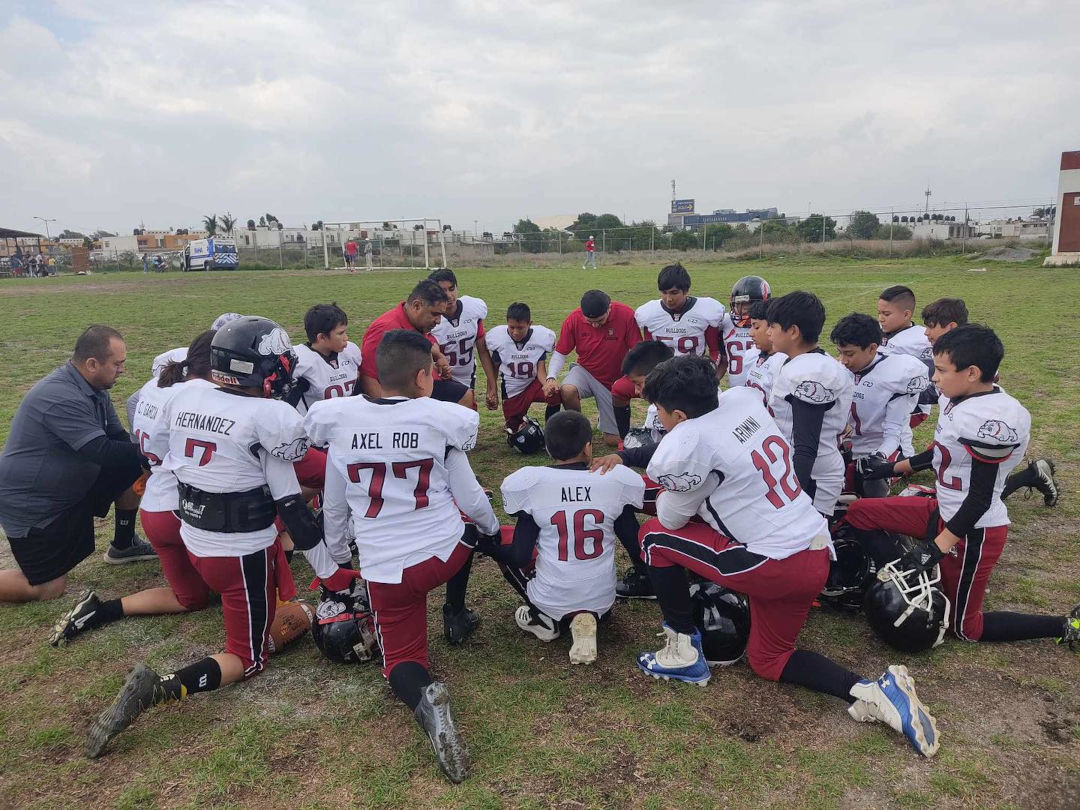 Los canes se consolidan en las ligas regionales de futbol americano