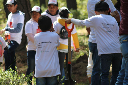 Gobierno del estado e iniciativa privada realizan trabajos de reforestación en la malinche