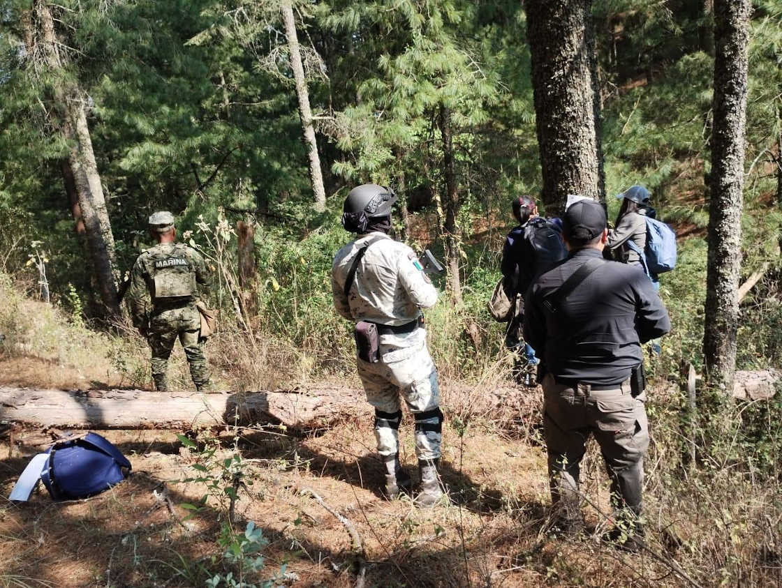 Cumplimenta la PFM orden de cateo en 79 hectáreas de bosque en Tlaxco