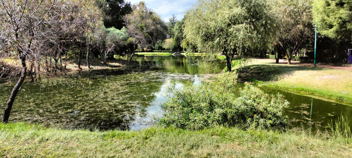 Fomenta SMA la visita y cuidado de áreas naturales en temporada vacacional