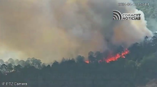 Logran brigadistas sofocar incendio forestal en Tlaxco