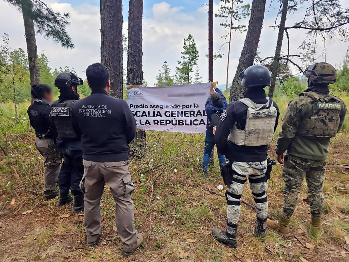 PFM cumplimenta orden de cateo en bosque en Tlaxco, Tlaxcala