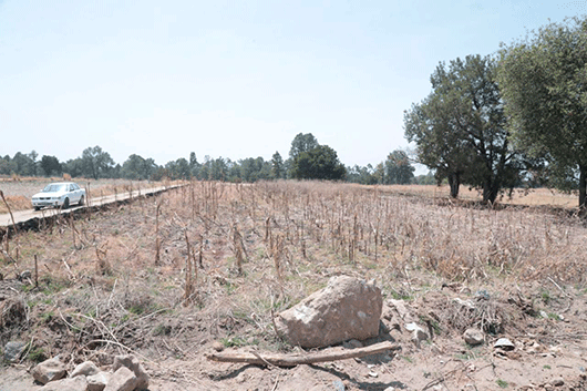 Autoridades del IPN recorren terrenos en Tlaxcala para la construcción del nuevo edificio de la UPIIT