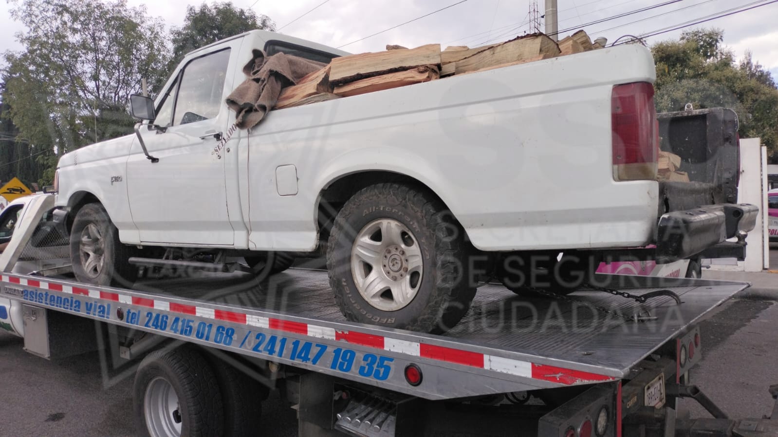 Tras operativo, detienen a un hombre por transportar leña de manera ilegal