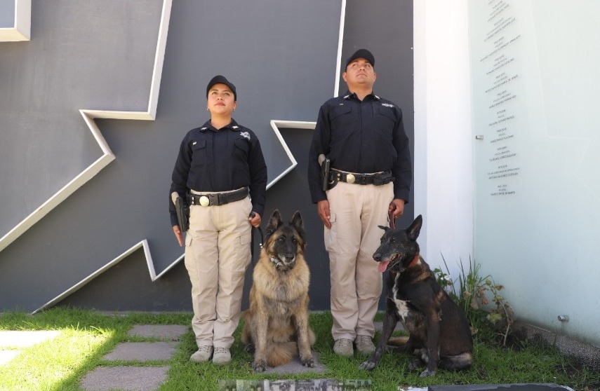 ¡Gracias, héroes! SSC jubila a oficiales caninos “Guíta” y “Yago”