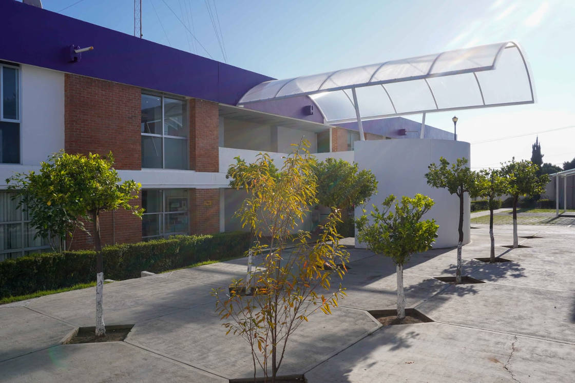 Vinculan a proceso a mujer por incumplimiento de la obligación alimentaria: PGJE