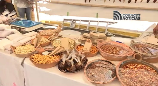 Participan 48 productoras y productores de Ixtenco en la Feria del Maíz
