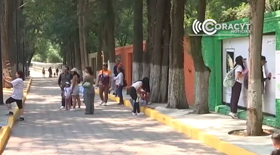 Festejan a niñas y niños en el Zoológico del Altiplano