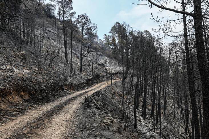 Combate a incendio en Atltzayanca alcanza un 100% de territorio bajo control y 80% de liquidación