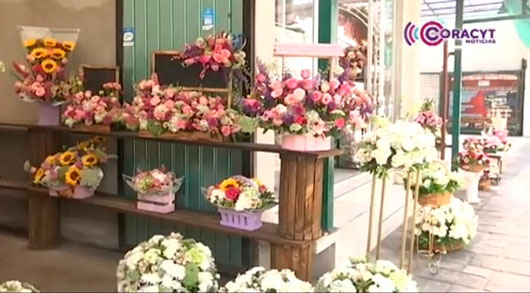 Floristas locales registran pérdidas por heladas en Puebla
