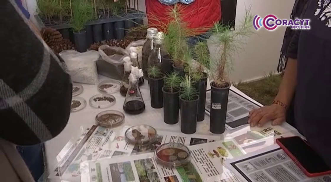 Expo Feria mostrará innovación y tecnología para el campo en Tlaxcala