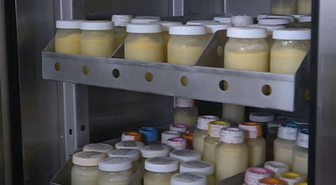 Leche materna, elemento clave para el desarrollo temprano