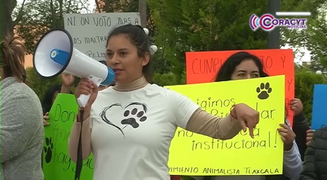 Animalistas exigen al Ayuntamiento capitalino la liberación de caninos