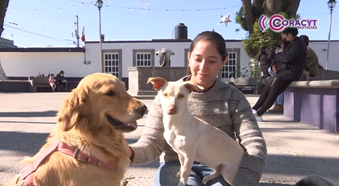 Permiten Centros Vacacionales del IMSS en Tlaxcala el ingreso de mascotas