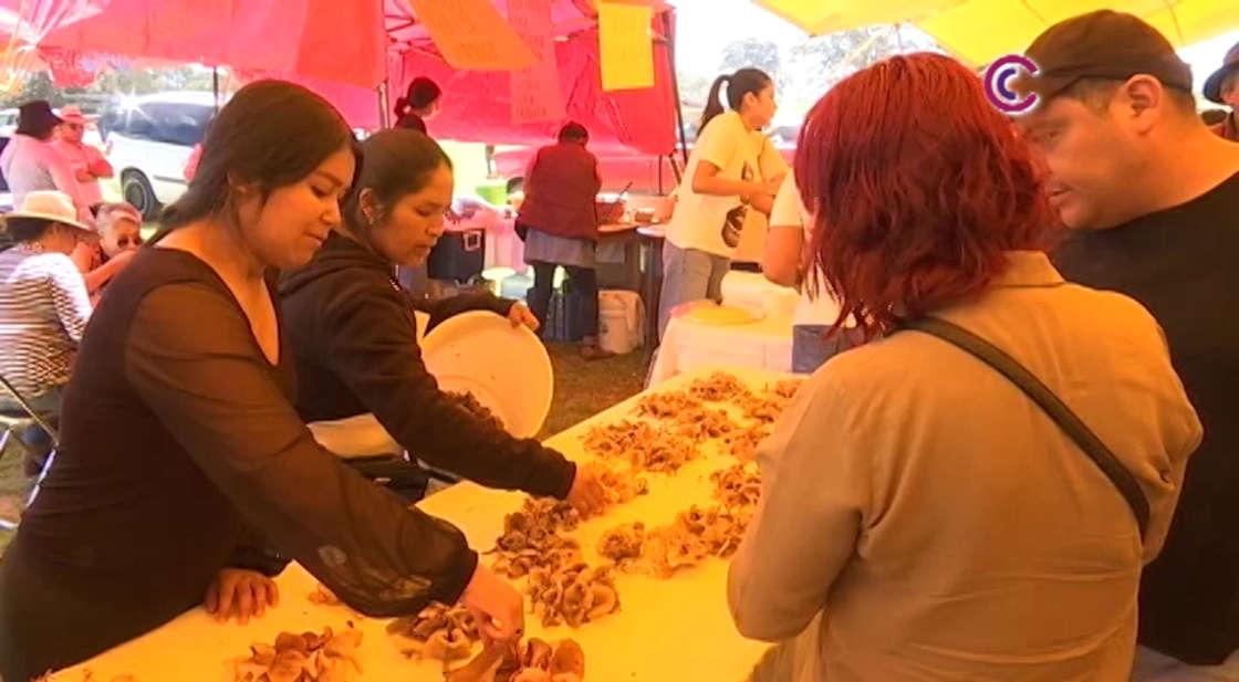 Realizaron muestra gastronómica de hongos silvestres en Huamantla