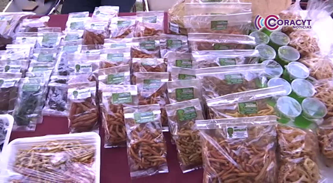 Comercializarán productos locales en cooperativas de escuelas primarias de Tlaxcala