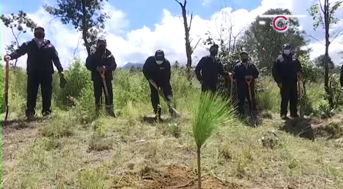 Habitantes de Atltzayanca se suman a las acciones de reforestación