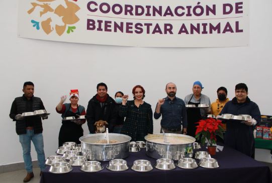 Recomienda CBA proteger a animales de compañía durante temporada invernal