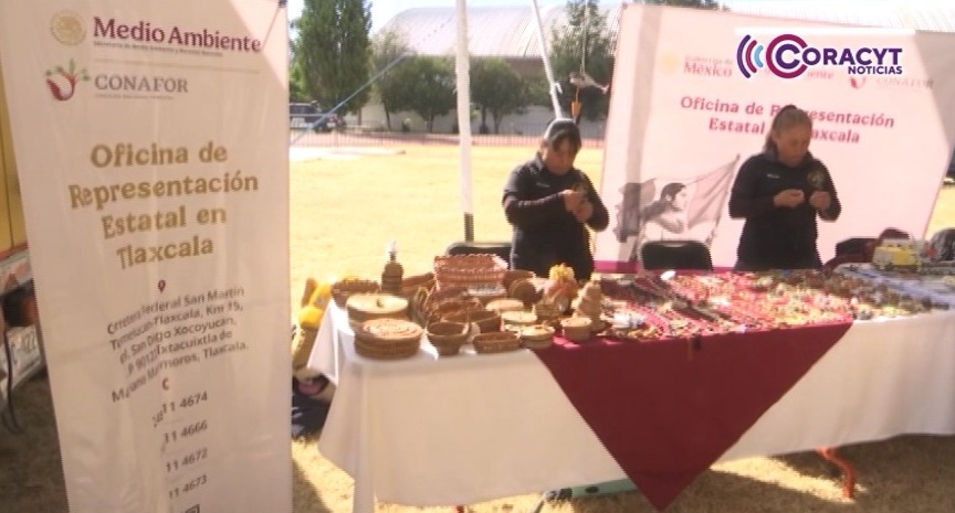 Impulsa la Conafor Tlaxcala redes productivas y economías comunitarias