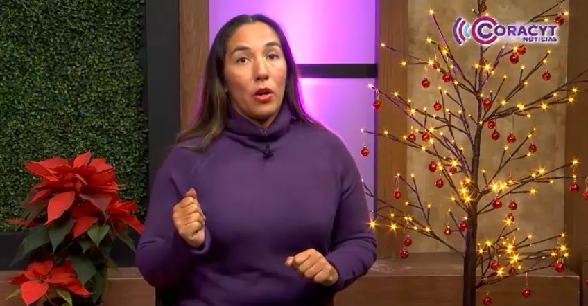 “En Voz del Instituto Nacional Electoral”: El derecho de Acceso