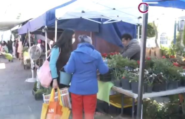 Cuenta Mercado Alternativo de Chiautempan con productos saludables y frescos