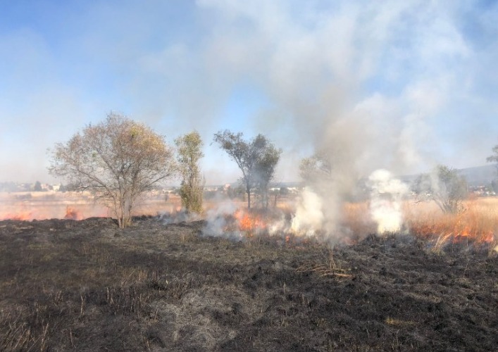 Protección Civil del Ayuntamiento de Tlaxcala atienden incendios de pastizales en Tlaxcala