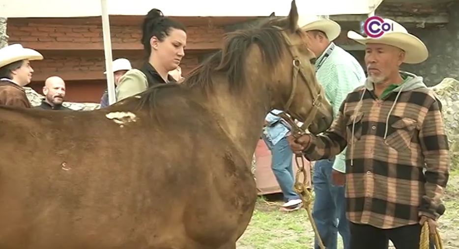 Brindan atención veterinaria gratuita a equinos