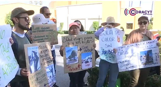 Ciudadanía se manifestó contra la tala de árboles en Tlaxcala capital