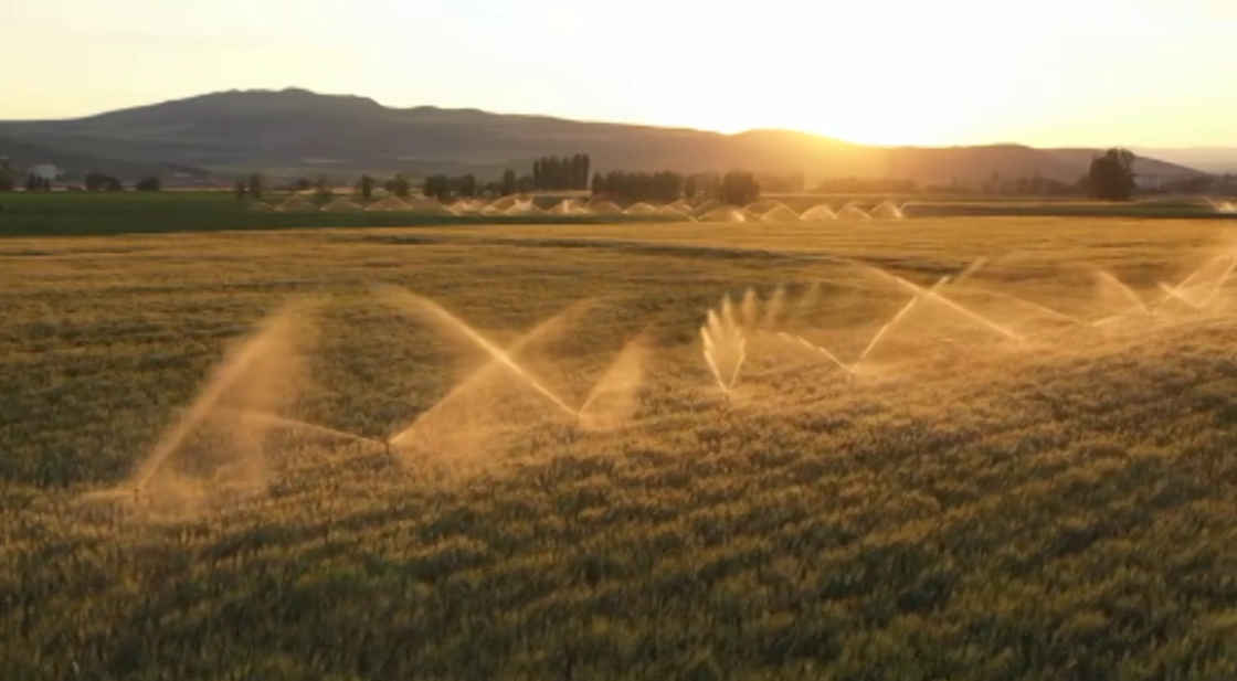 Inició el registró al Programa de Energía Eléctrica para Uso Agrícola 2026