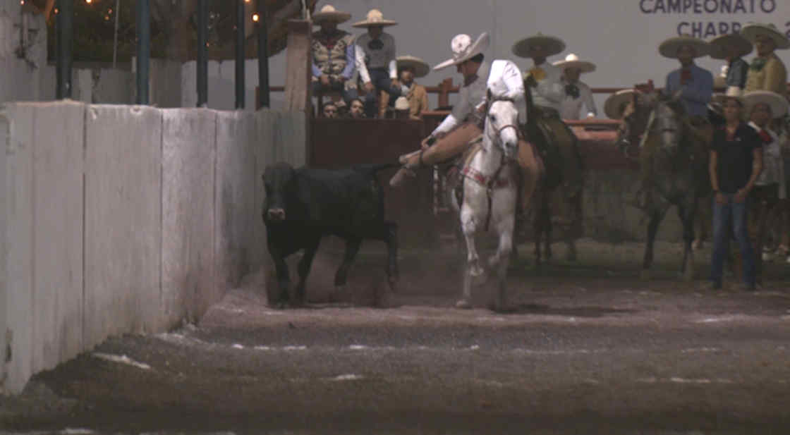 “Charreada Nocturna” abarrotó el Lienzo 