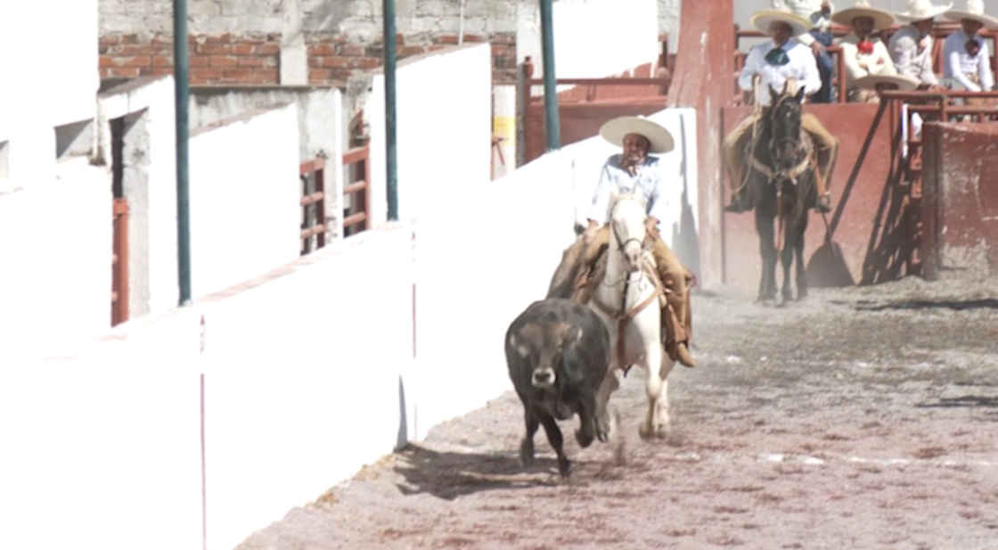 Adrenalina se vivió en el coleadero abierto de 