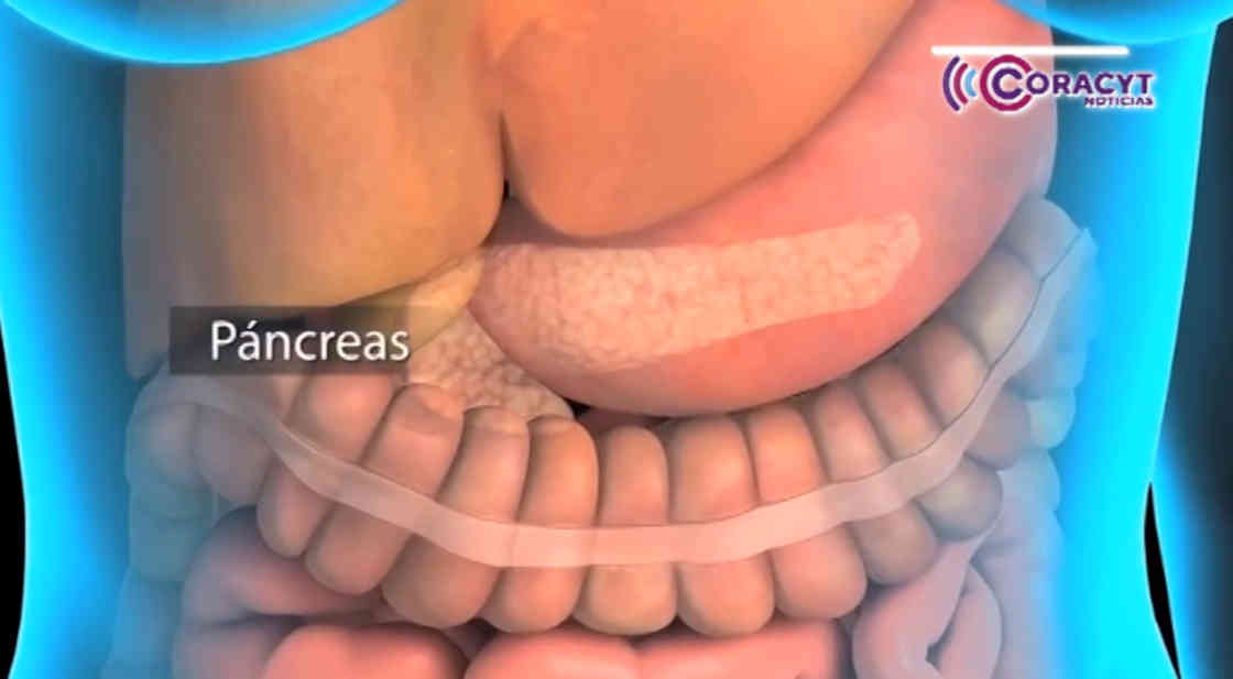 Alertan sobre síntomas y factores de riesgo del cáncer de páncreas