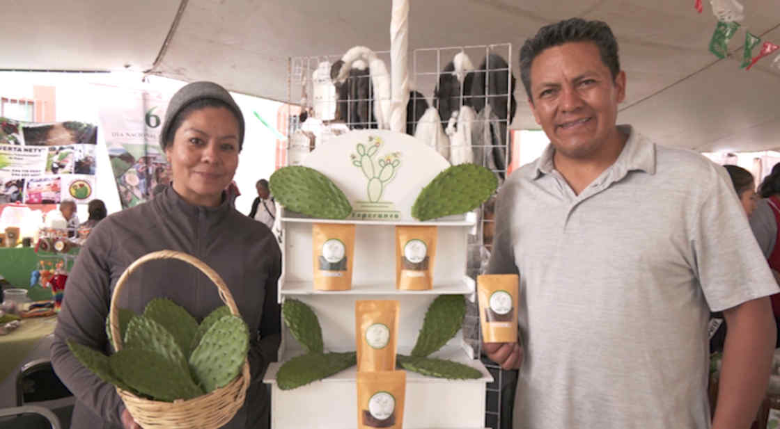 Dulce de nopal “Noparricos” conquista mercados internacionales