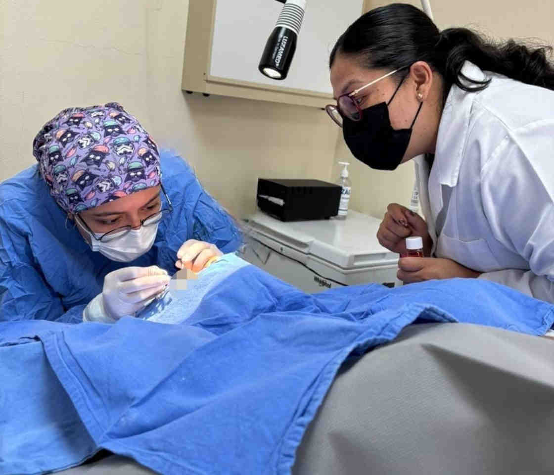 Avanza IMSS Tlaxcala a 13 procuraciones de tejidos