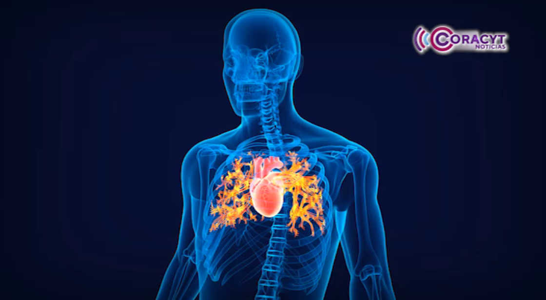 Enfermedad Pulmonar Obstructiva Crónica, principal causa de muerte en Tlaxcala: SESA