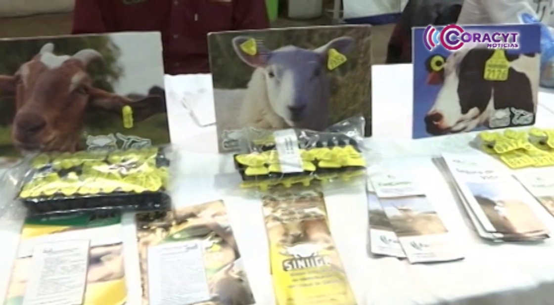 Impulsó la SIA a más de 50 agroindustriales durante “Tlaxcala, la Feria de Ferias 2025”