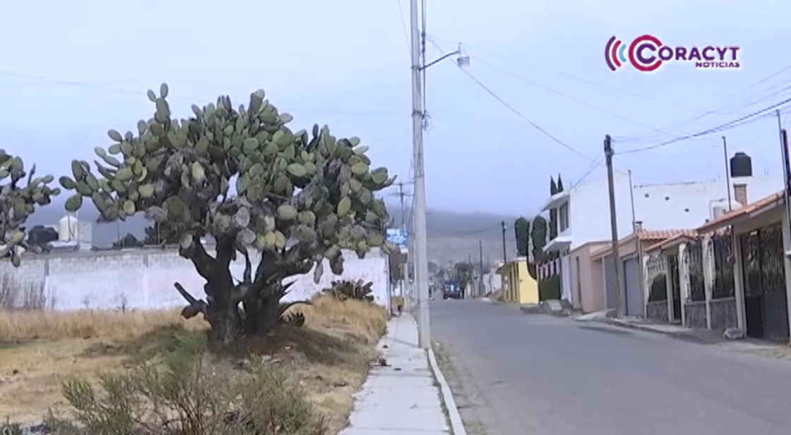 Atiende SIA reportes de heladas en zonas agrícolas de Tlaxcala