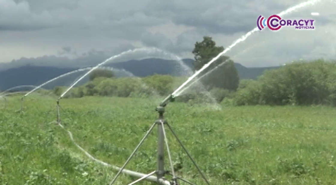 Dan prórroga a productores agrícolas para regularizar concesiones de agua 