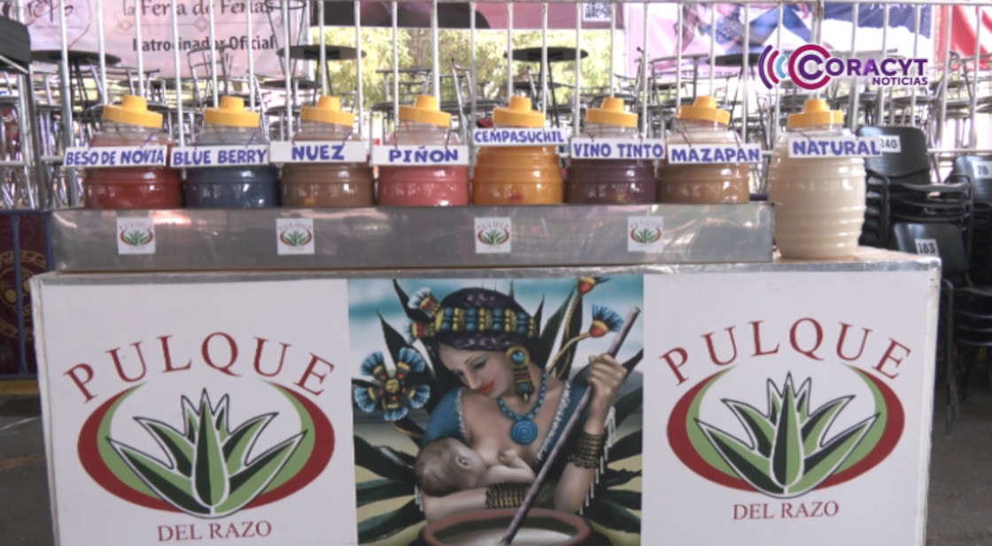Sabores y tradiciones se mezclaron en el “Festival del Pulque”