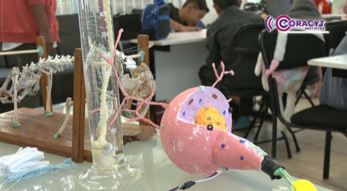 Infantes exploraron ciencia y creatividad en el “Viernes de Consejo Técnico” de la UATx