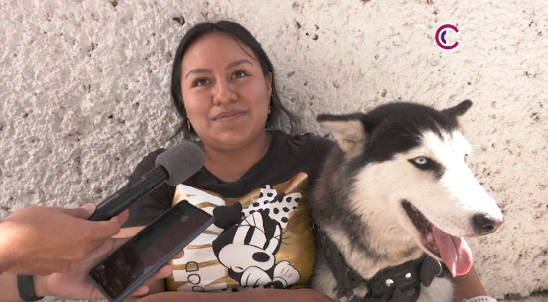 Promueven con jornadas de esterilización la tenencia responsable de animales