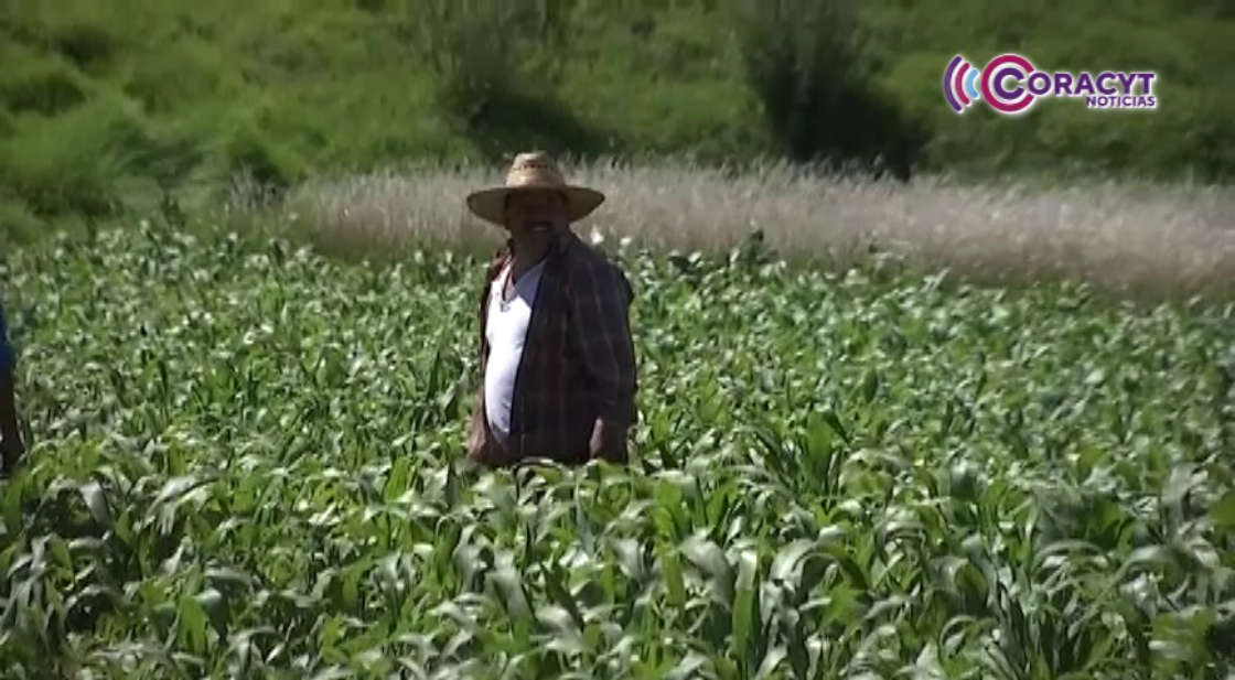 Productores tlaxcaltecas reconocen apoyo federal
