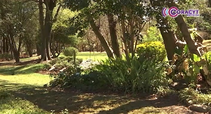 Impulsa SMA reglamento para proteger a personas defensoras del medio ambiente